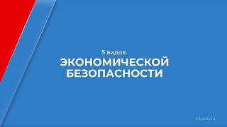 Курс обучения "Экономическая безопасность" - 5 видов экономической безопасности