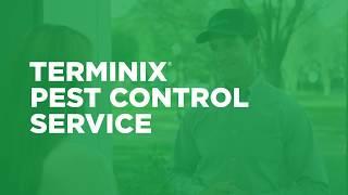 How Does Terminix Pest Control Work?