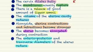 BAMS SIMPLE NOTES || BAMS-MBBS-BHMS NOTES || STREE VIDNYANIYA SIMPLE NOTES || BAMS OBS-GYNEC NOTES |