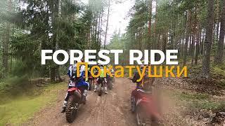 Лось на тропе лося или в гостях у FOREST RIDE