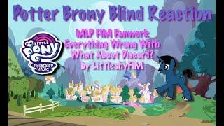 PotterBrony Blind Reaction MLP FiM Fanwork Everything Wrong With What About Discord?