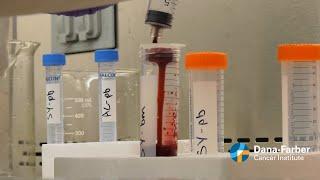 Blood Cancer: Higher rates of precursor in high-risk individuals