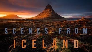 Scenes From Iceland