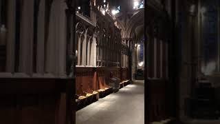 Organ at Ely Cathedral