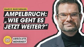 Marco Buschmann, braucht deutsche Politik einen Elon Musk?