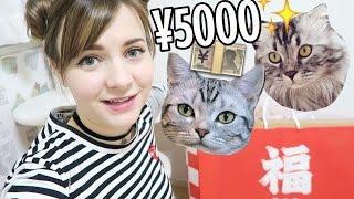 WHAT'S IN A ¥5000 LUCKY BAG FOR CATS?! | Japanese Lucky Bags