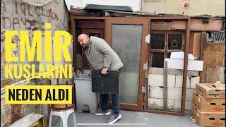 EMİR KUŞ UÇURMAYI BIRAKTI KUŞLARINI ALDI VE GİTTİ