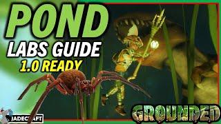 GROUNDED POND LAB GUIDE How To Get The Two Pond Chips