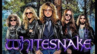 Whitesnake - Live in the still of the night, 2004