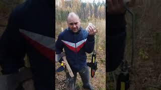 На рыбалке в лесу