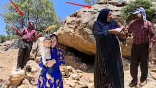 "Mr. Karam reaction to the destruction of the shelter: How did she face the challenges?