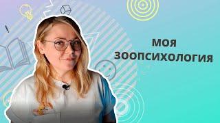 О моей работе и философии взаимодействия с домашними животными. Работа зоопсихолога. Новая кинология