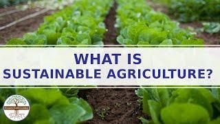 Sustainable Farming Explainer Video Sustainable Agriculture