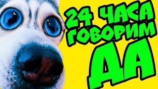 24 часа ГОВОРЮ ДА!  СЪЕМКИ КЛИПА 400К БЭКСТЕЙДЖ (Хаски Бандит) Говорящая собака