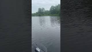 Crappie on Lake Ashroe ￼