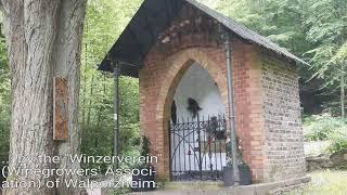 A beautiful walking tour through the forests above the Ahr valley; between Rech,Dernau & Walporzheim