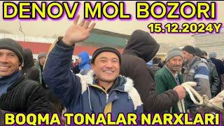 DENOV MOL BOZORIDA TONA VA SIGIRLAR NARXLARI 15.12.2024y