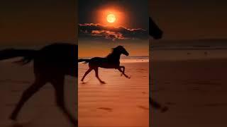 a horse with no name #vintagemusicfm #music #train #retroradio