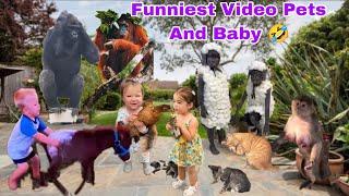 The Funniest Animal Videos 2024  Cute Pets and Babies Are Here to Break Your HEART