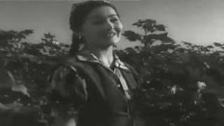 Görüş film, 1955