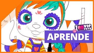 APRENDE Coloreando dibujo de Halloween   Alexia VIP PETS