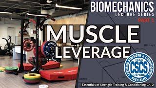 Biomechanics and Muscle Leverage | CSCS Chapter 2