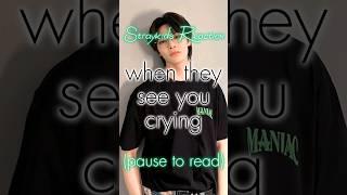 [Straykids Reaction] when they see you crying  [REQUESTED]