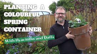 Planting a Container for Winter and Spring with Hyacinth and Daffodil Bulbs | Spring Planting Ideas