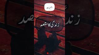 Zindagi Ka Maqsad  | quotes in urdu| #shorts | #shortsvideo #viral