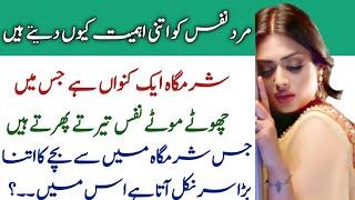 Nafs ka size aur sharamgah ka size kitna hota hai | نفس اور شرمگاہ کا سائز| Health and education