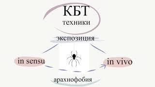 Лечение фобий. Методы КБТ при лечении фобий