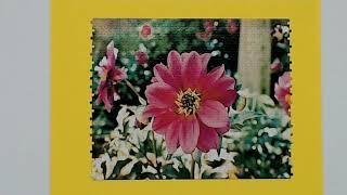 Pink Petals Jigsaw Puzzle Time Lapse by Addicted 2 Puzzles