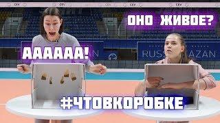 #What'sInTheBoxChallenge "Dinamo-Kazan" | #ЧтоВКоробкеЧеллендж от "Динамо-Казань"