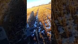 Мини-трактор из мотоблока.
