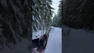 Shooting the “Savage Enfield” No4 Mk1 #shorts