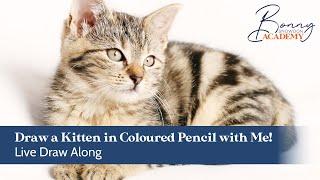 Live Draw Along | Drawing a Kitten in Coloured Pencils