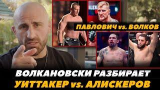 Волкановски разбирает Уиттакер - Алискеров / Павлович - Волков / Прогноз на бой  FightSpaceMMA