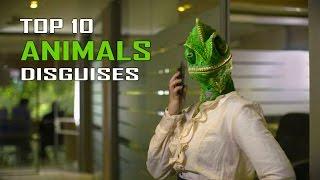 Top 10 Best Animal Disguises