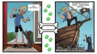 Мир глазами собак. The world through the eyes of dogs