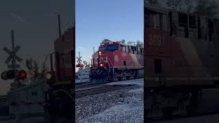 CN 100 Anniversary through Coal City #train #railfan #railroad #railfanner