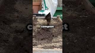 How Do You Prepare Raised Beds for Planting? #shorts