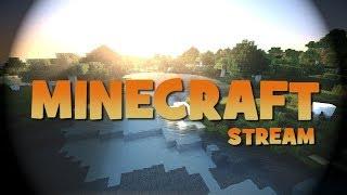 Minecraft играем на рп сервере русенон.