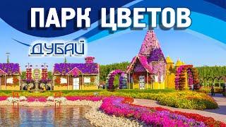 Парк Цветов в Дубае. Miracle Garden - самый большой в мире цветочный парк | Туристино