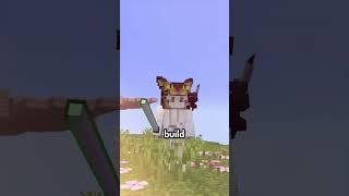 Are You Bored and Looking for a New Server to Play On? #catcraft #minecraft #minecraftserver