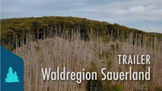 Waldregion Sauerland - Trailer zum Dokumentarfilm