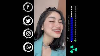 kumpulan cewek (Tik Tok) cantik BerDamage