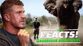 INSANE DANGEROUS ANIMAL ENCOUNTERS! | Josh Reacts Ep. 3 |