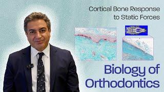 Cortical Bone Response to Static Forces:A New Orthopedic Target Pt1 - Biology Of Orthodontics #010