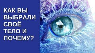 Как душа выбирает новую жизнь? Самопознание. Эзотерика. Духовное развитие. Духовный путь. Путь души