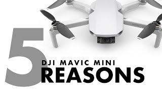 5 Reasons I Am Getting The Mavic Mini